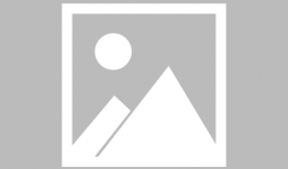 日本少女漫画之,日本少女漫画的奇幻世界